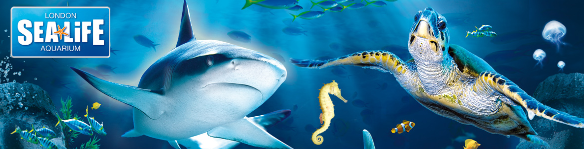 SEA-LIFE-London-Aquarium.jpg