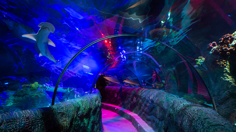 Sea life centre deals uk