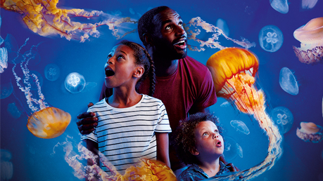 SEA LIFE London - Family Offer