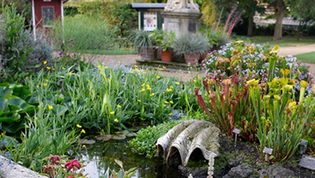 Chelsea Physic Garden Tickets 2FOR1 Offers