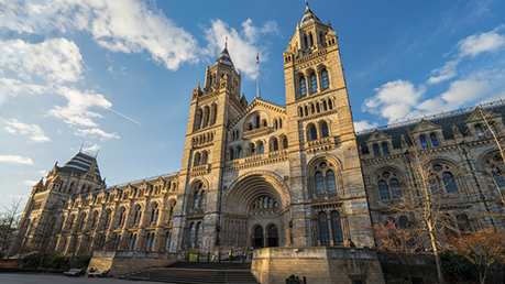 Natural Science And History Museum Manchester Natural Science And History Museum Manchester