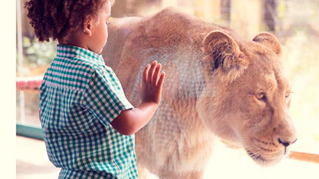 central park zoo discount code 2019
