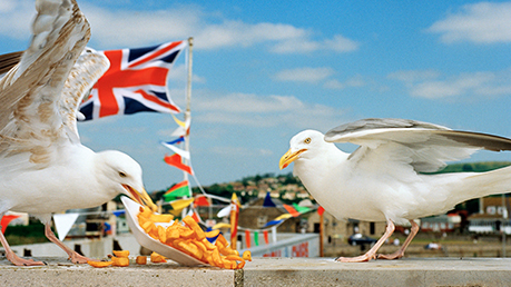 National Maritime Museum - The Great British Seaside: Photography from the 1960s to the present