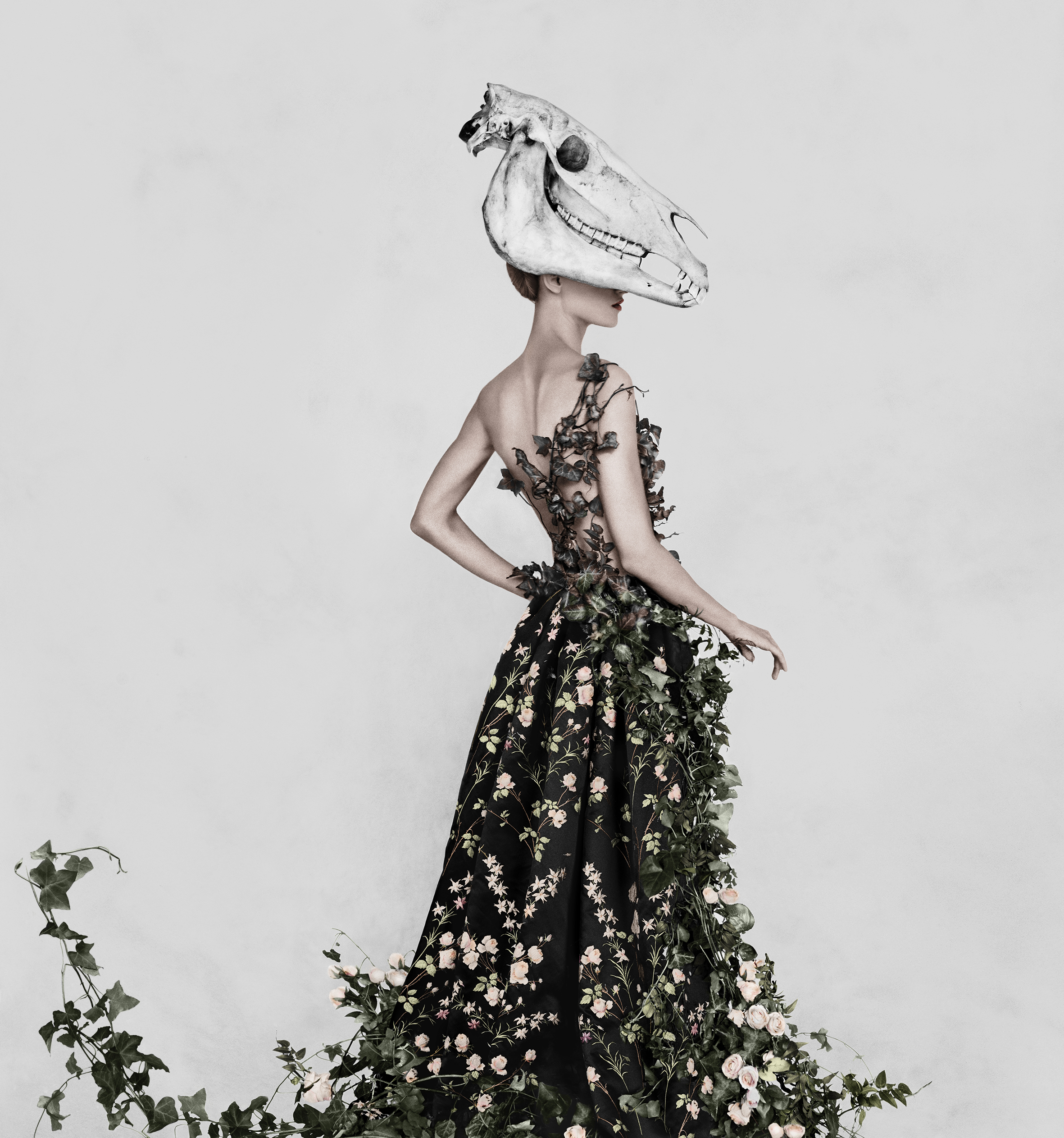 Victoria and Albert Museum (V&A) - Fashioned From Nature