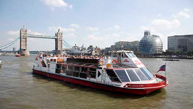cruise city