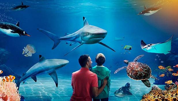 Image result for sea life london