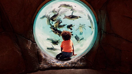 London Zoo - free adult place