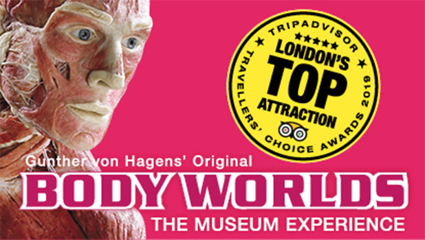 BODY WORLDS London