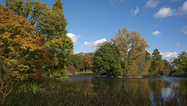 Kew Gardens Add 4 (1)