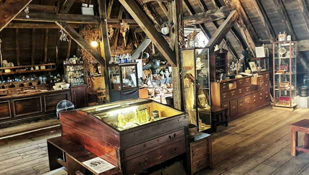The Old Operating Theatre Museum and Herb Garret