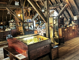 The Old Operating Theatre Museum and Herb Garret