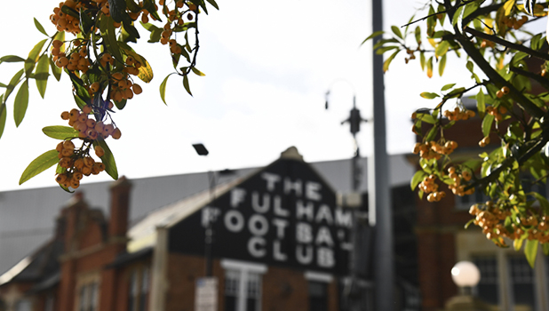 Fulham FC Add 2