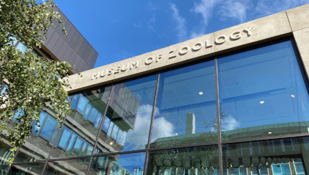 University Museum Of Zoology ADD 2