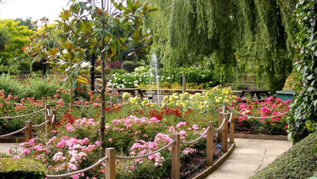 Paradise Park NEW ADD 3