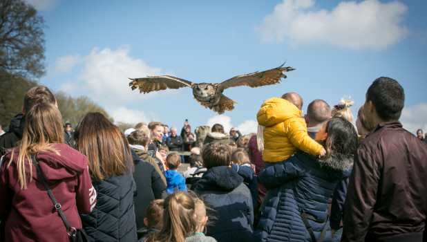 Leeds Castle 2022 ADD 4