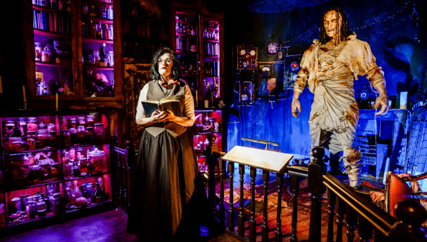 Mary Shellys House Of Frankenstein ADD 1