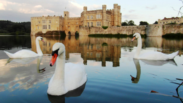 Leeds Castle 2022 ADD 6