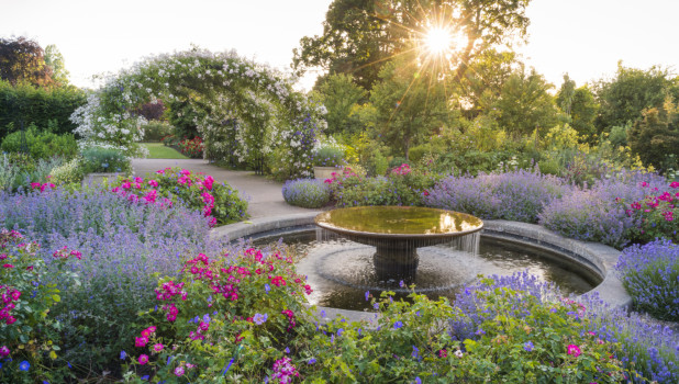 RHS Garden Wisley Detail