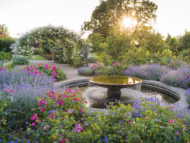 RHS Garden Wisley