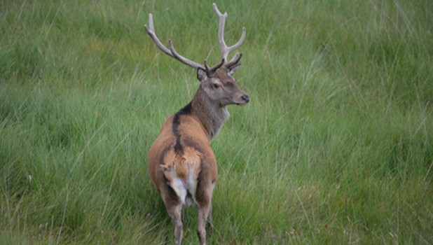 Glencoe Nature Reserve ADD 4