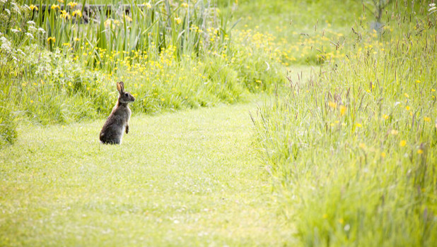 Inveresk Lodge Garden ADD 1