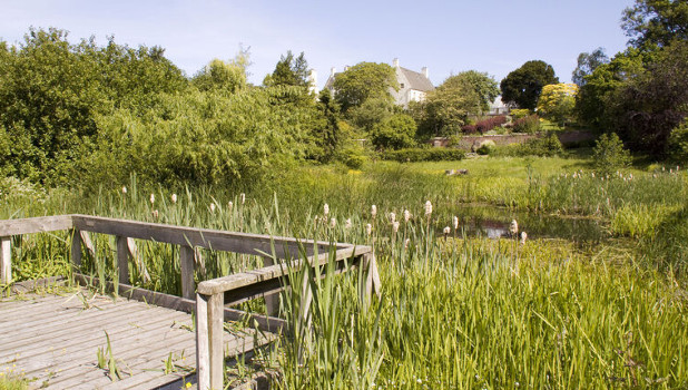 Inveresk Lodge Garden Detail