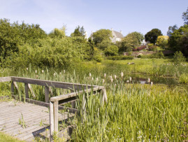 Inveresk Lodge Garden