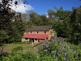 Barry Mill