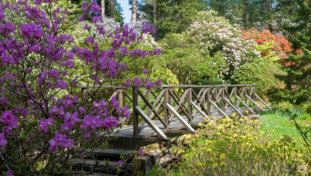 Crarae Garden–ADD 1