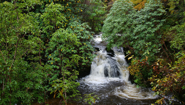 Crarae Garden–ADD 3