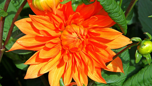 Geilston Garden ADD 2