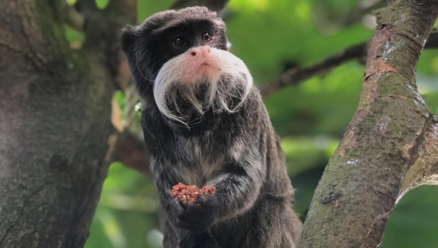 Battersea Park Childrens Zoo 2023 ADD 3