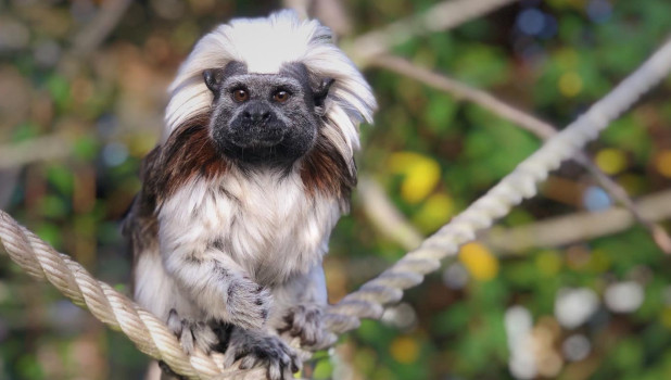 Battersea Park Childrens Zoo 2023 ADD 5