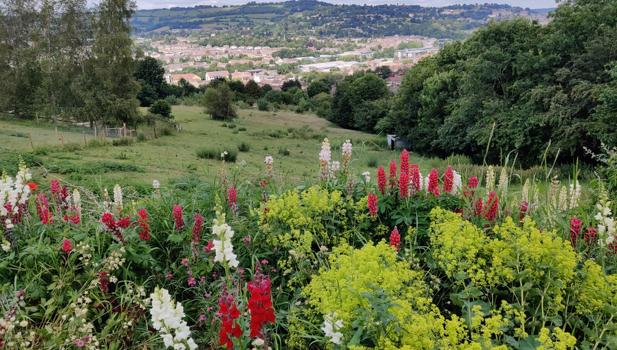Bath City Farm ADD 1