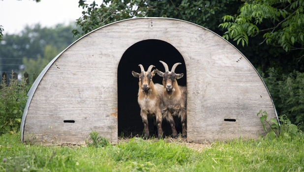 Bath City Farm ADD 5