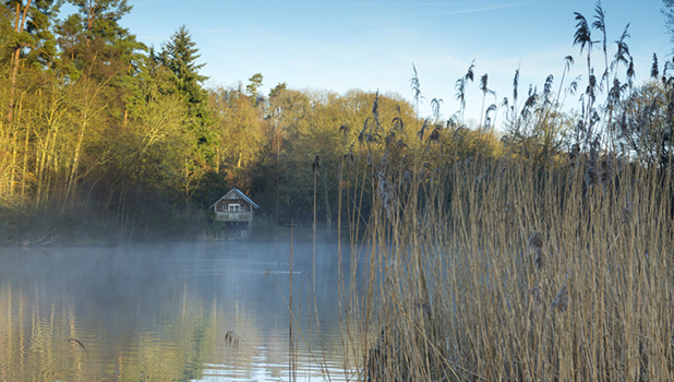 Winkworth Arboretum ADD 4