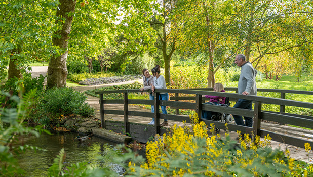 The Savill Garden Detail