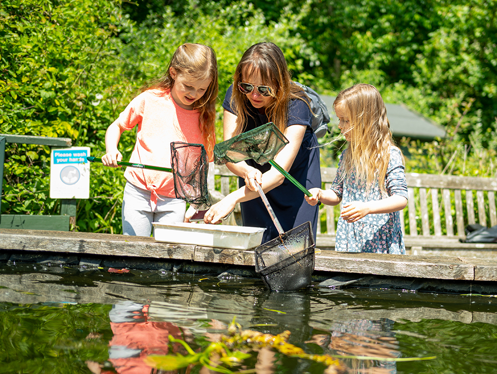 WWT Arundel Wetland Centre ADD2