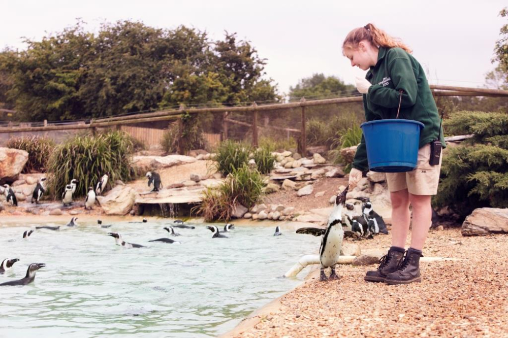 ZSL Whipsnade Zoo ADD4