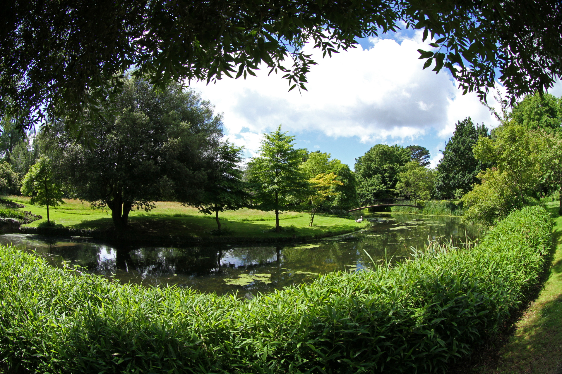 Syon Gardens and Great Conservatory