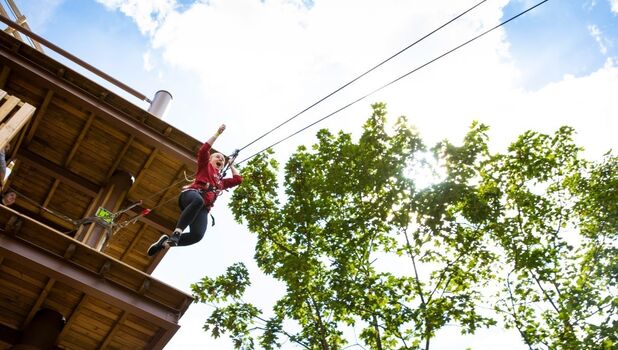 Go Ape Alexandra Palace ADD 1