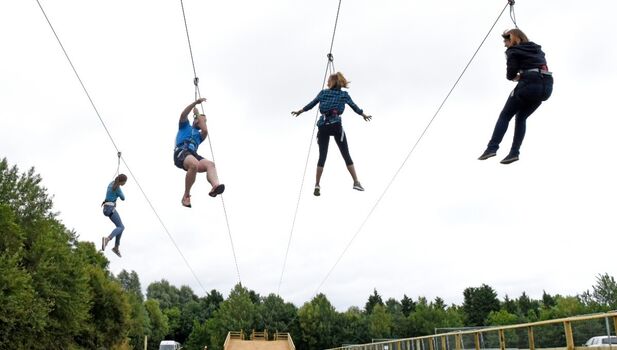 Go Ape Chessington Detail