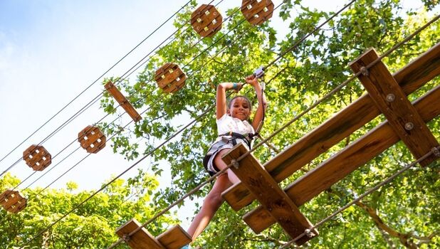 Go Ape Delamere ADD 3