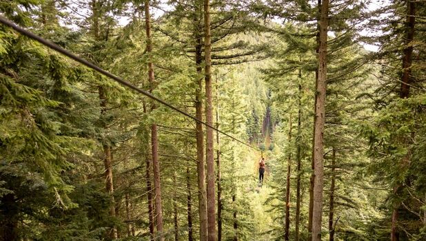 Go Ape Peebles ADD 4