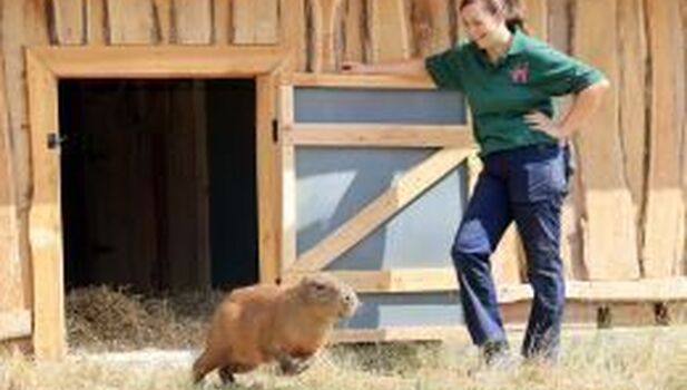 Hobbledown Heath ADD 4 (1)