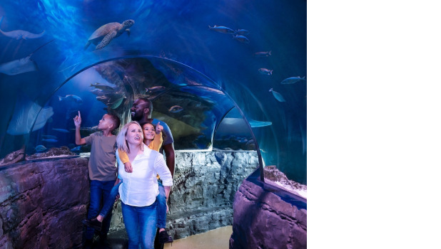 SEA LIFE Hunstanton ADD 1