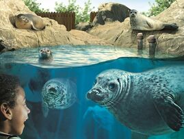SEA LIFE Hunstanton Aquarium