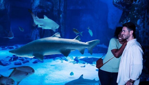 SEA LIFE Loch Lomond ADD 3