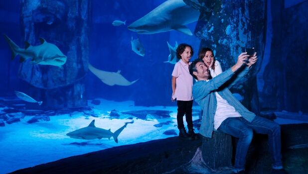 SEA LIFE London Aquarium ADD 3