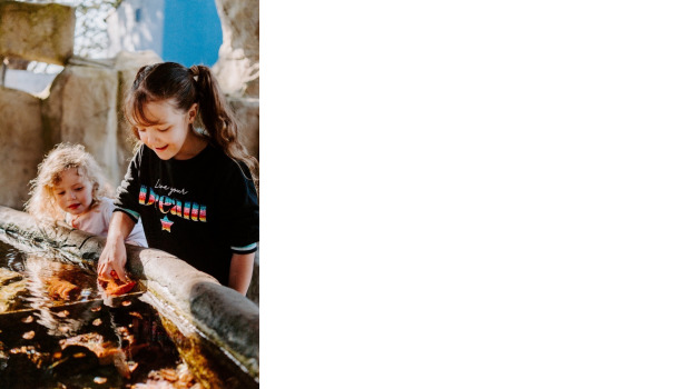 SEA LIFE Weymouth Adventure Park ADD 1